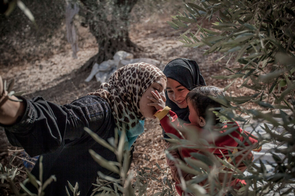 Palestinian farmers, Olive Oil